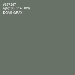#697267 - Dove Gray Color Image